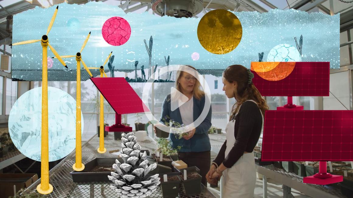 Virginia Matzek with a student in the greenhouse overlaid with animation