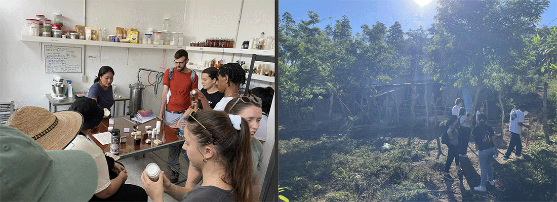 Two views of Chiapas, Mexico - inside a cafe and students outside among trees
