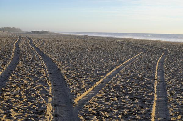 Two sets of tracks diverging on a beach