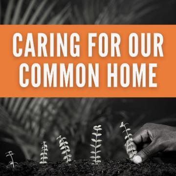 Caring for our Common Home 