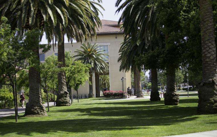 Learning Commons fronted by palm trees image link to story