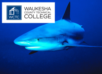 WCTC logo and photo of shark
