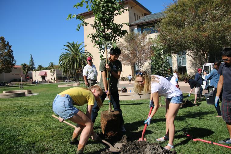 Students planting a tree on Arbor Day