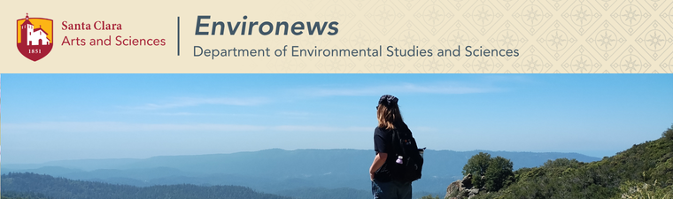ESS email banner