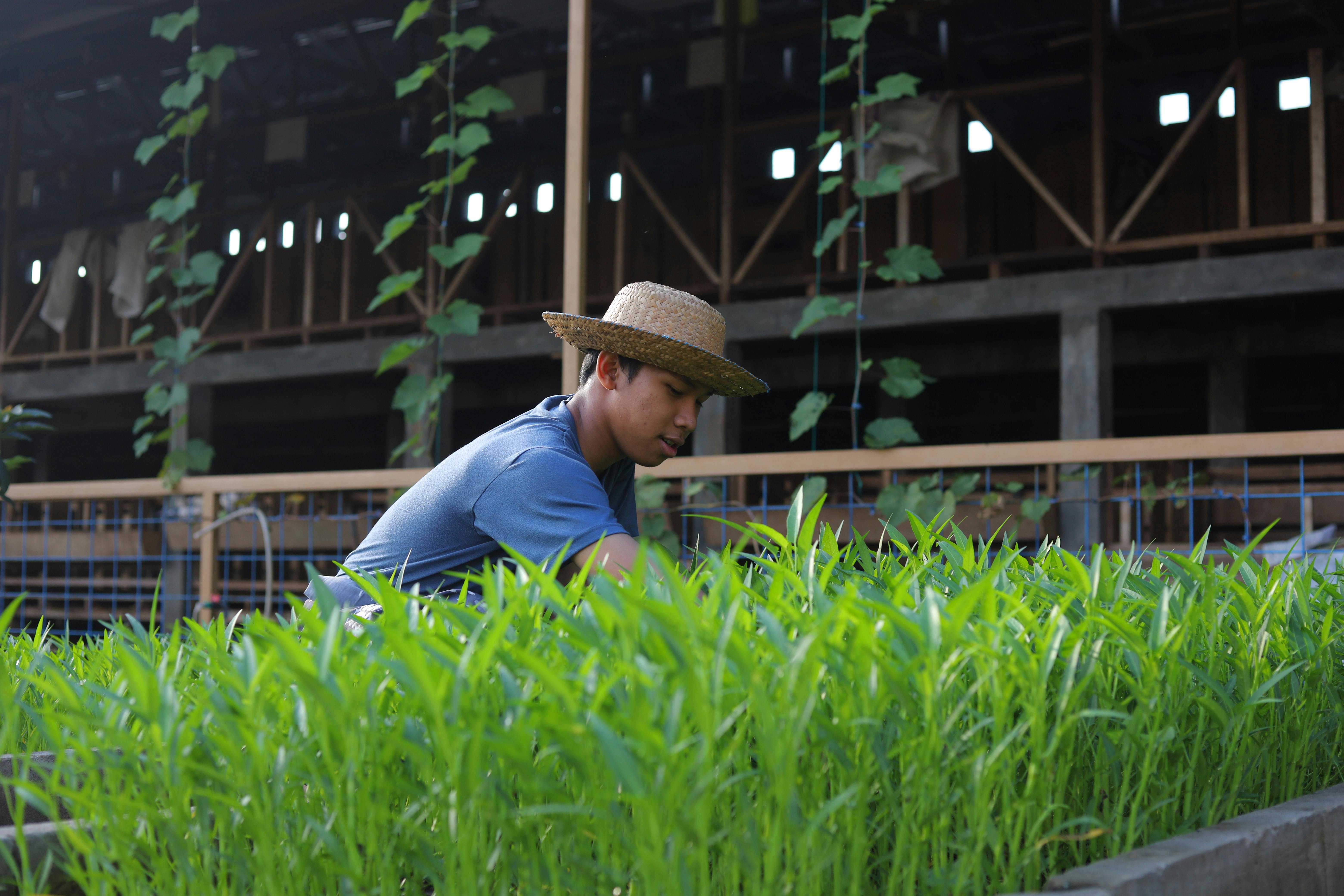 young man farming