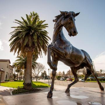 Bronco statue near a building and palm trees under a blue sky.