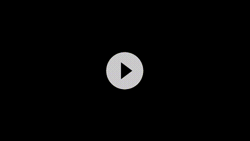 DoG Gif