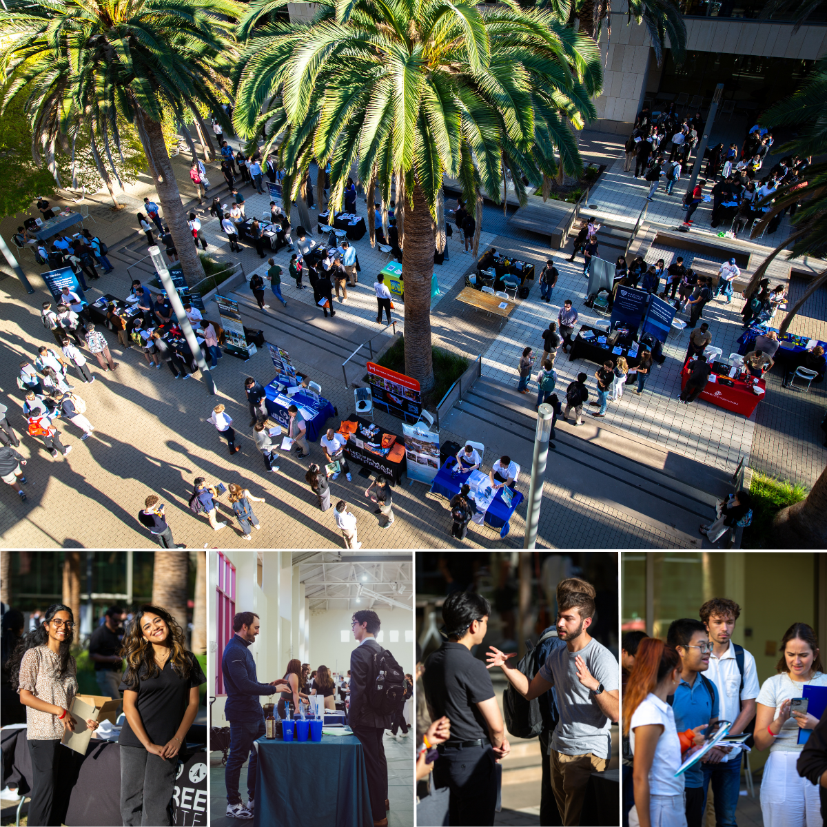 Career Fair Fall 2024 Collage