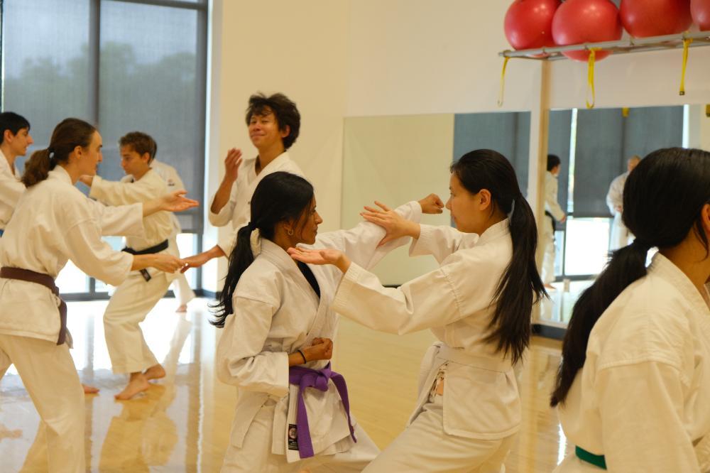 Shotokan members practicing with one another
