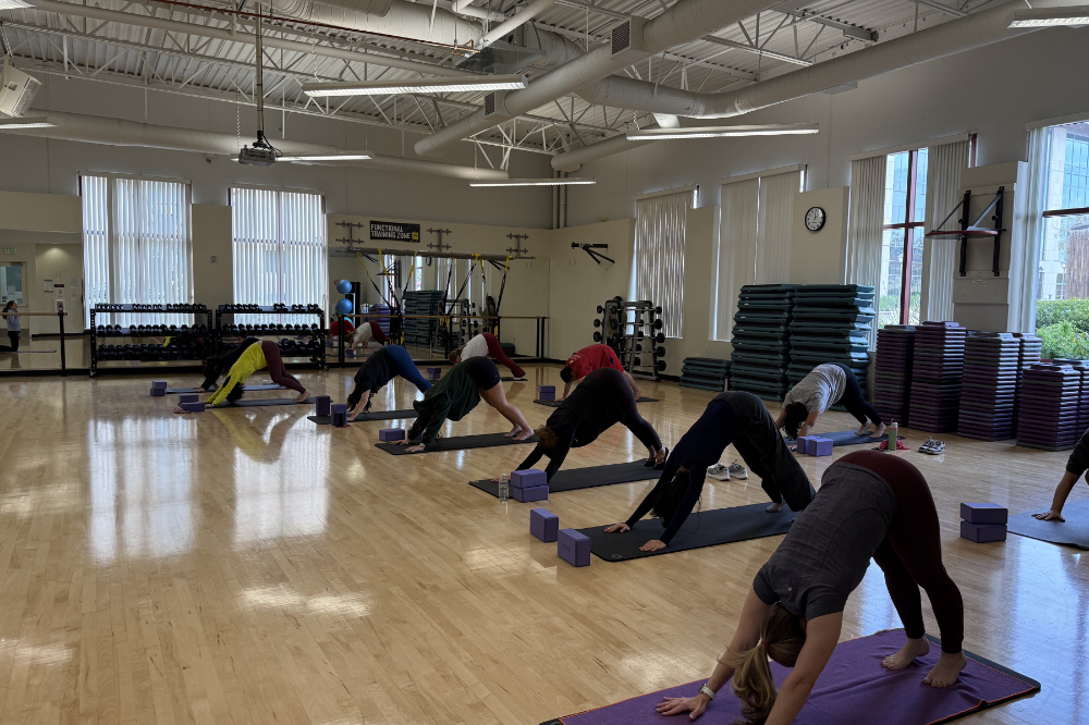 Winter Fitness Yoga
