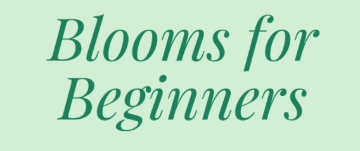 Blooms for beginners 