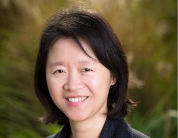 Associate Professor of Accounting Haidan Li Head Shot image link to story