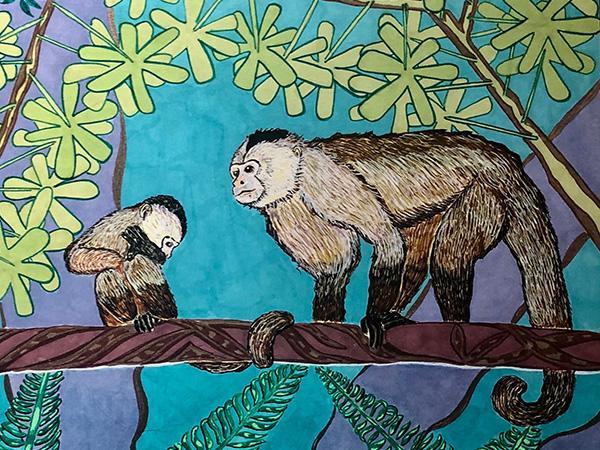 Capuchin image, Michelle Bezanson