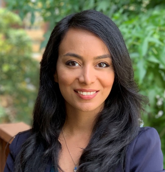 Roya Ebtehaj image link to story