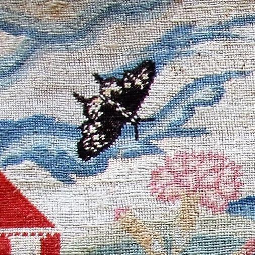 square image link to story