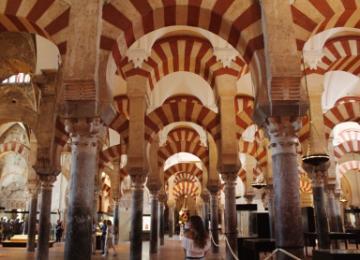 Nikki Dully image link to story