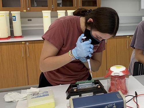 Student working with pipette