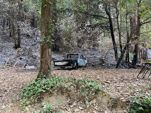 Old car abandoned in a forest with trees and rocks in the background.