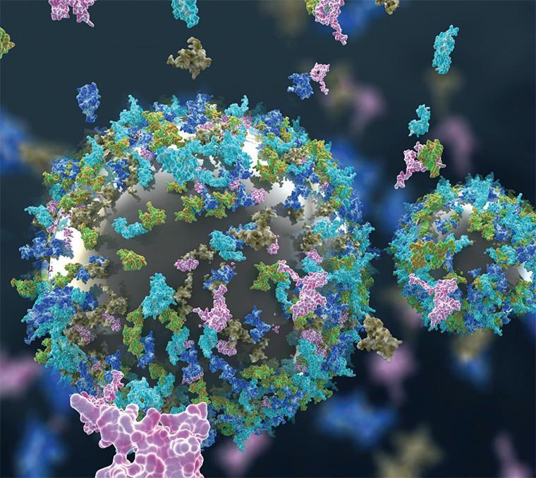 The illustration for the SCU research team’s cover article in Environmental Science Nano depicts nanomaterials interacting with proteins. image link to story