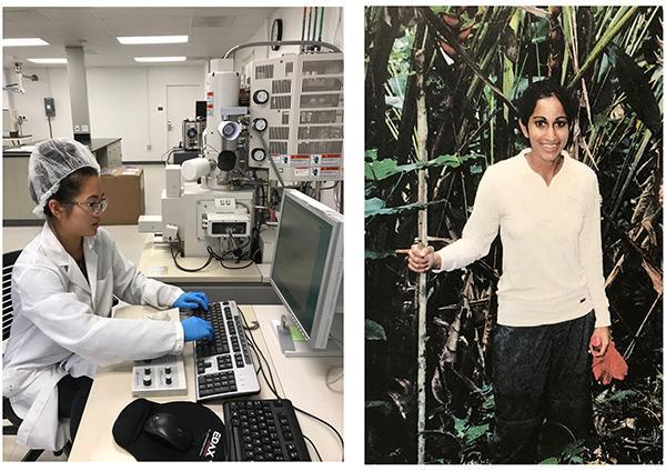  Keilyn Ing (left) analyzing silk samples at the scanning electron microscope and Samantha Shenoy (right) collecting habitat data in the rainforest of the Northern Range Mts.