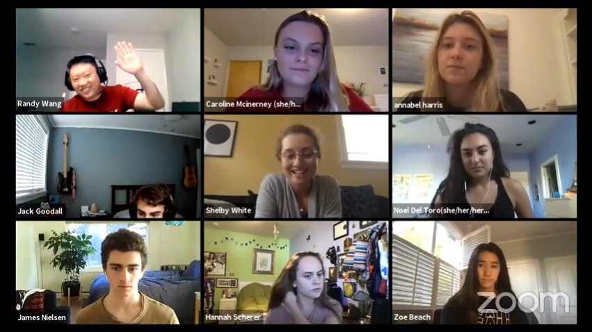 A group of students in a zoom meeting