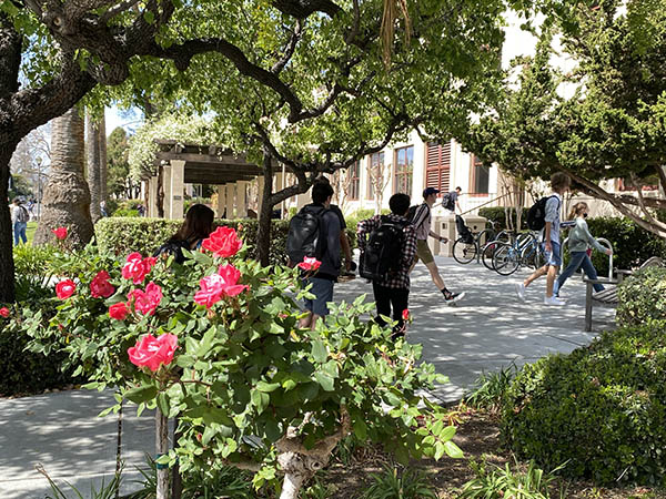 Picture of students walking through green leaves and flowers on their way to class