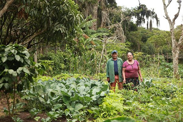 Two farmers in front on their home garden with fruit trees, forest and coffee in the background (Photo: PRODECOOP)