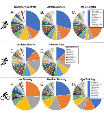 Analysis data for gut microbiomes of endurance athletes