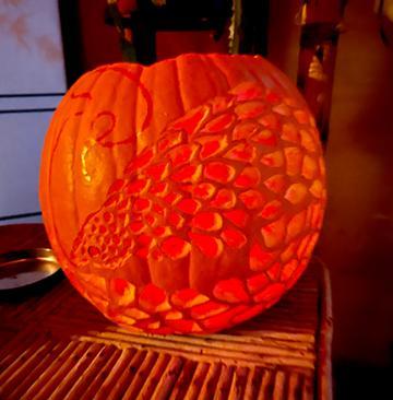 Pumpkin carved with a pangolin