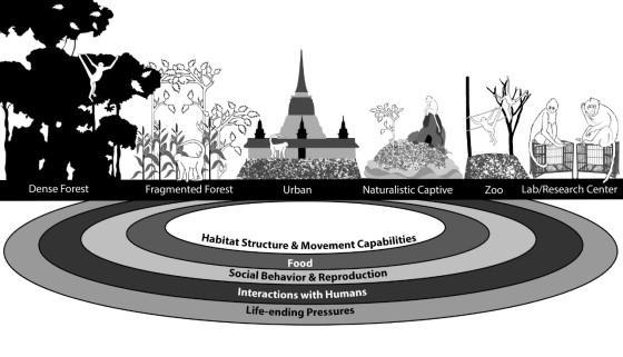 the continuum of primate habitats, from dense forests to lab/research center