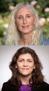 Top - Iris Stewart-Frey; bottom - Irina Raicu