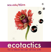 Orange dahlia on a cream background with ecotactics for a future we can all live with and scu/edu/turn written in pruple