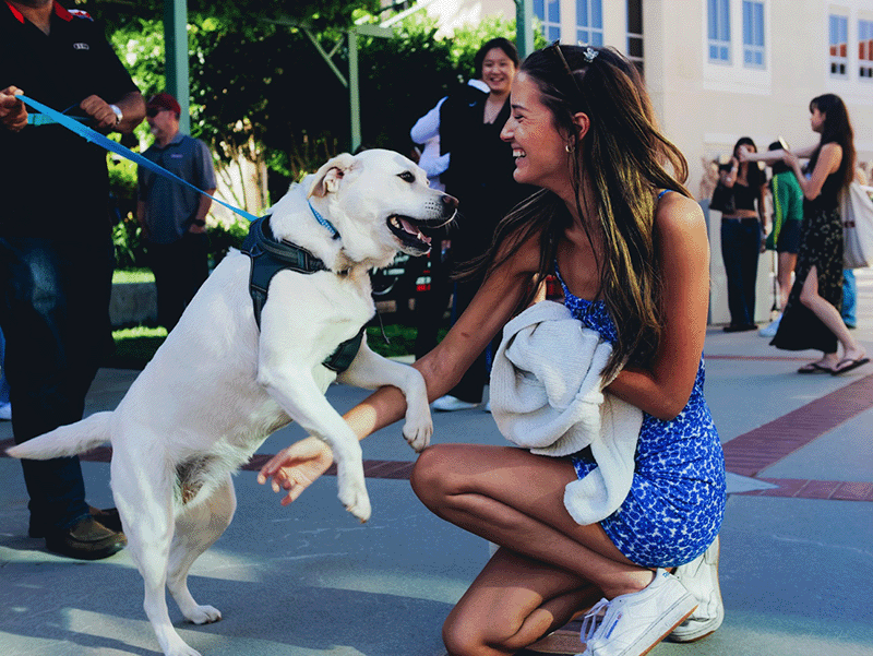 2024 Honoring Student Achievement