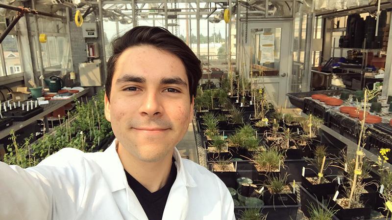 Elias Acosta in greenhouse lab