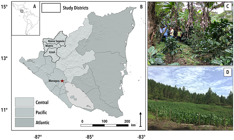 Map of Nicaragua (b) with areas studied outlined. Shade coffee (c) and agricultural plantations (d), which can be distinguished with satellite imagery, are also shown.