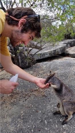 Person feeding a small kangaroo in a natural setting.