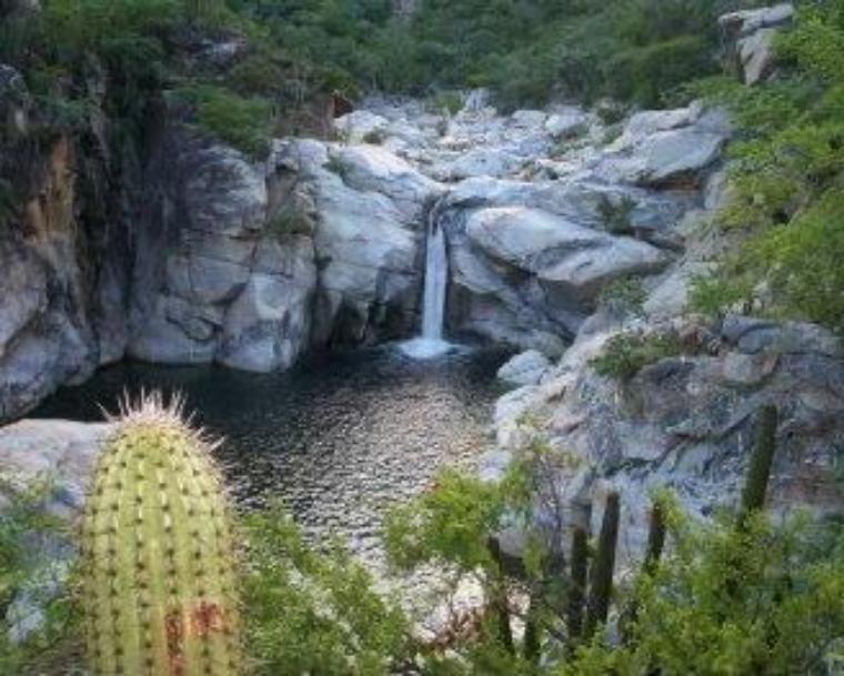 Waterfall cascading into a rocky pool in Sierra de la Laguna. image link to story