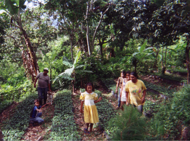 A group of people in a lush, green forested area. image link to story