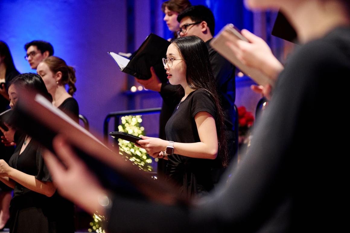 Festival of Lights 2024 performance photo