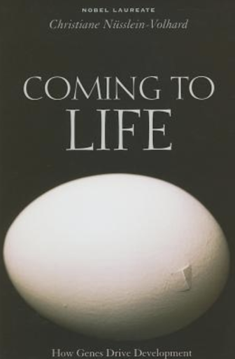 coming to life book cover
