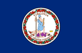 Image of Virginia State Flag 