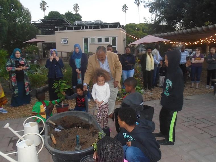 Planting a coffee tree image link to story