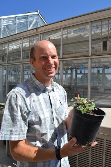 A person holding a potted plant outside a greenhouse. image link to story