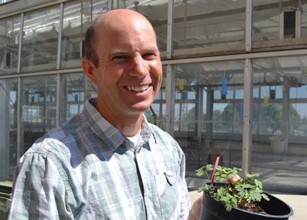 A person holding a potted plant outside a greenhouse. image link to story
