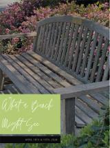 Gray wooden bench surrounded by foliage with the text What A Bench Might See in green. image link to story
