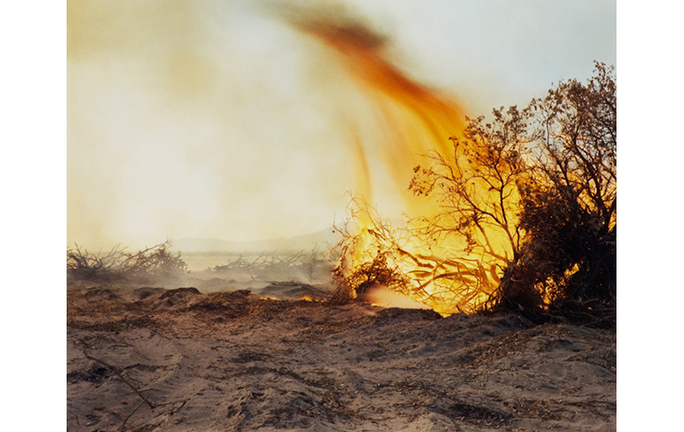 Color photograph of large bush on fire. Flames are blowing towards the left side. Mountain range is in the background.