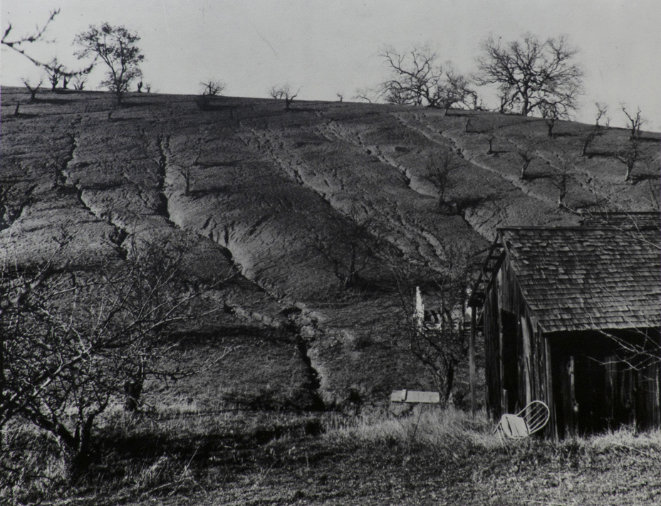 Black and white photograph of hillside that is dry and cracked. Dilapidated barn to right with broken chair leaning against corner of it. A few scattered rows of leafless trees.