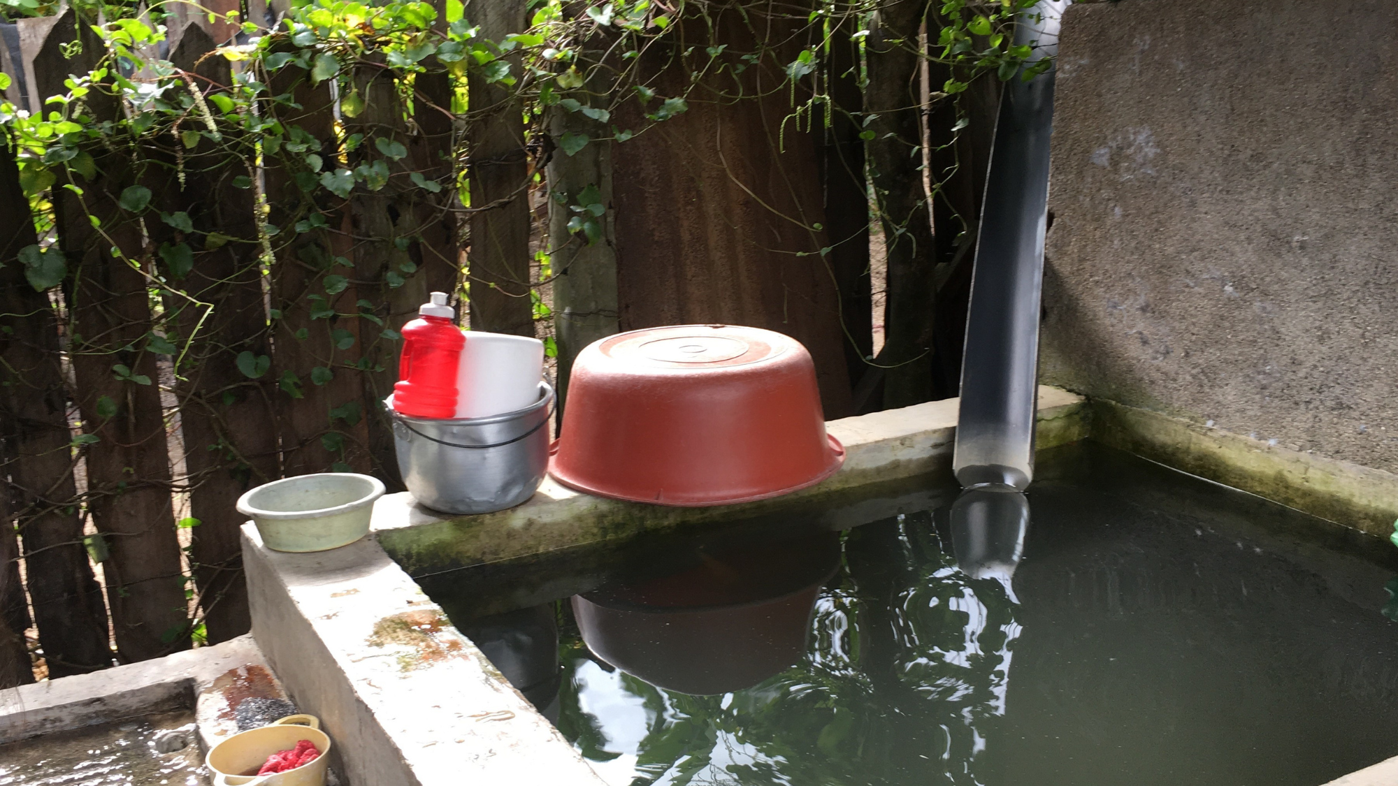 Collection of rainwater for washing and cleaning