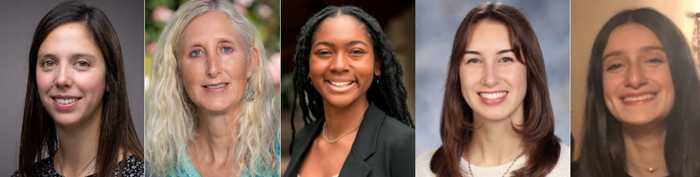 Engineering Research Showcase Posters about the Levee Project