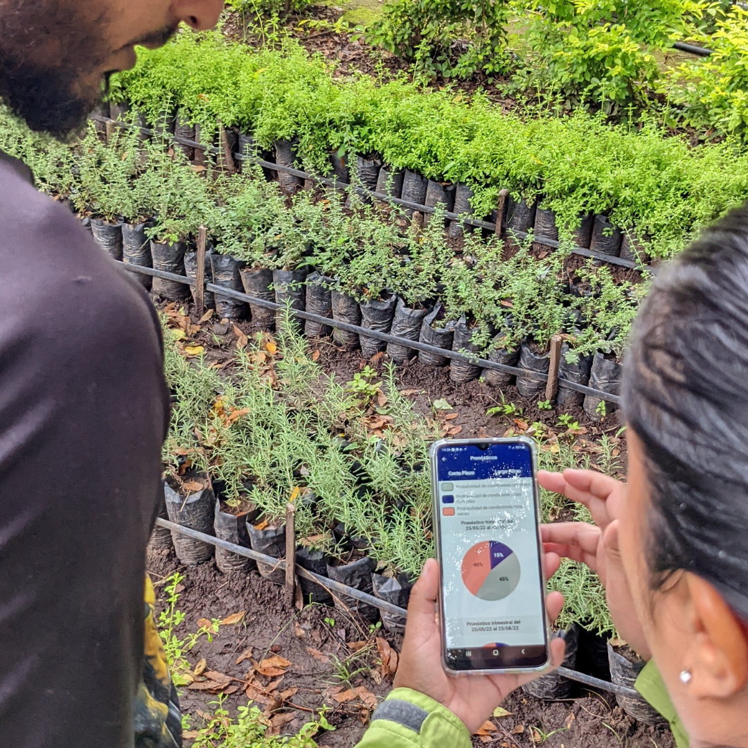 Producing Short and Medium-Term Forecasts to Support Climate Adaptation 